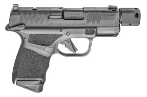 Hellcat RDP WO/Optic 9MM 3.8" MS 10RD