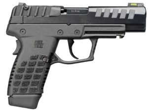 P15 9mm 4.0" Blk (2)10-rd CA