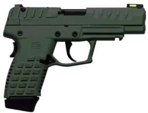 P15 9mm 4.0" Grn (2)10-rd CA