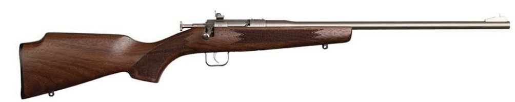 Chipmunk Dlx Youth 22 LR 16.1" Walnut/SS 1rd