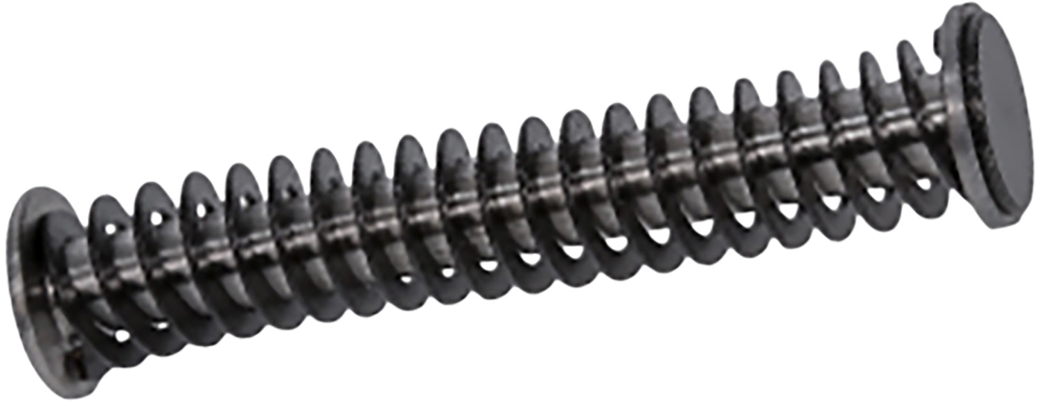 Rival Arms RARA50A101T Guide Rod Assembly Guide Rod Assembly Tungsten for Springfield XD-9
