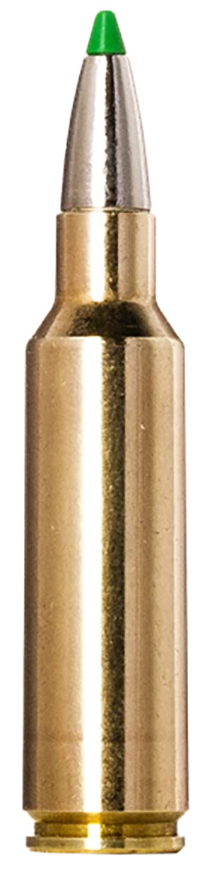 Norma Ammunition 20177512  Ecostrike 300WSM 165gr 20 Per Box/10 Case