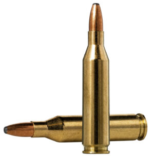 Norma Ammunition 20160332 Oryx  243Win 100gr 20 Per Box/10 Case