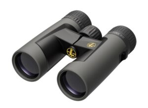 LEUPOLD BINO BX2 ALPINE HD 8X42 GRY  #