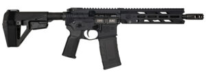 DIA DB1984B001  300BO DB15 10       30R*BRACE* BLK