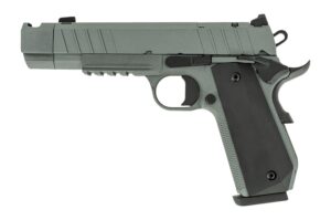 Tisas Arms 10100134 1911 Night Stalker Carry 10mm Auto 8+1 4.25" Black Bull Barrel, Gray Cerakote Carbon Steel Serrated Slide, Gray Cerakote Carbon Steel Frame w/Beavertail & Picatinny Rail, Black Rub