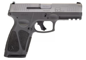 G3 9mm 4.0" SS/Gry AS 1/15&17