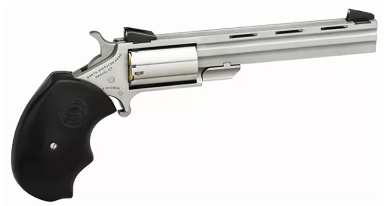 Mini-Master Combo 22Mag/22LR 4"VR S FS