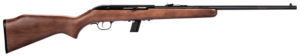 SAVAGE ARMS 64 SEMI-AUTO 22LR BL/WD 10+1