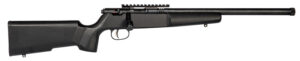 Rascal 22LR Target Rifle 16 1/4" Single