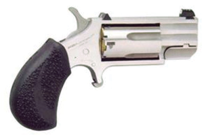 Mini-Rev Pug Combo 22LR/22M 1" S F/W Dot