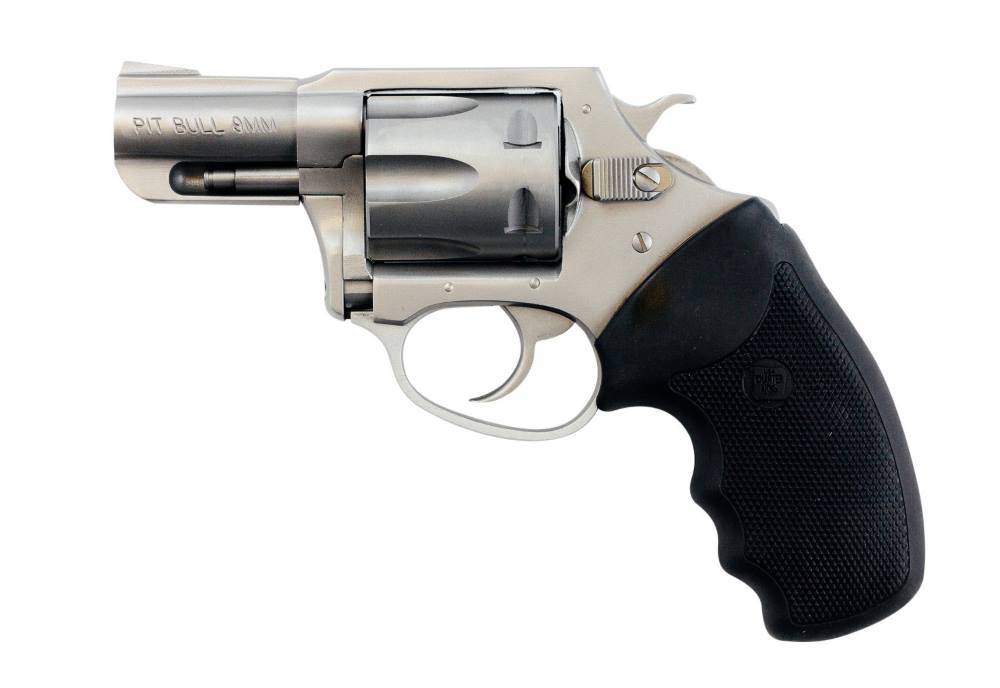 CHARTER ARMS CHARTER PITBULL 9MM SS 2" FS