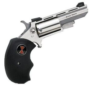 NORTH AMERICAN ARMS 22M/22L CON 2" BLK WIDOW SS FS