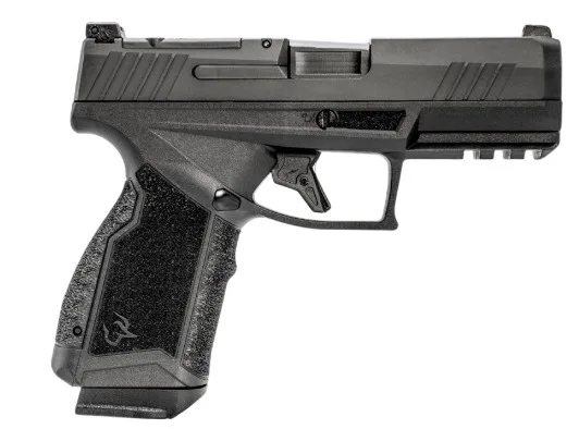 GX4 Carry 380 ACP 3.7" Blk (2) 15-rd