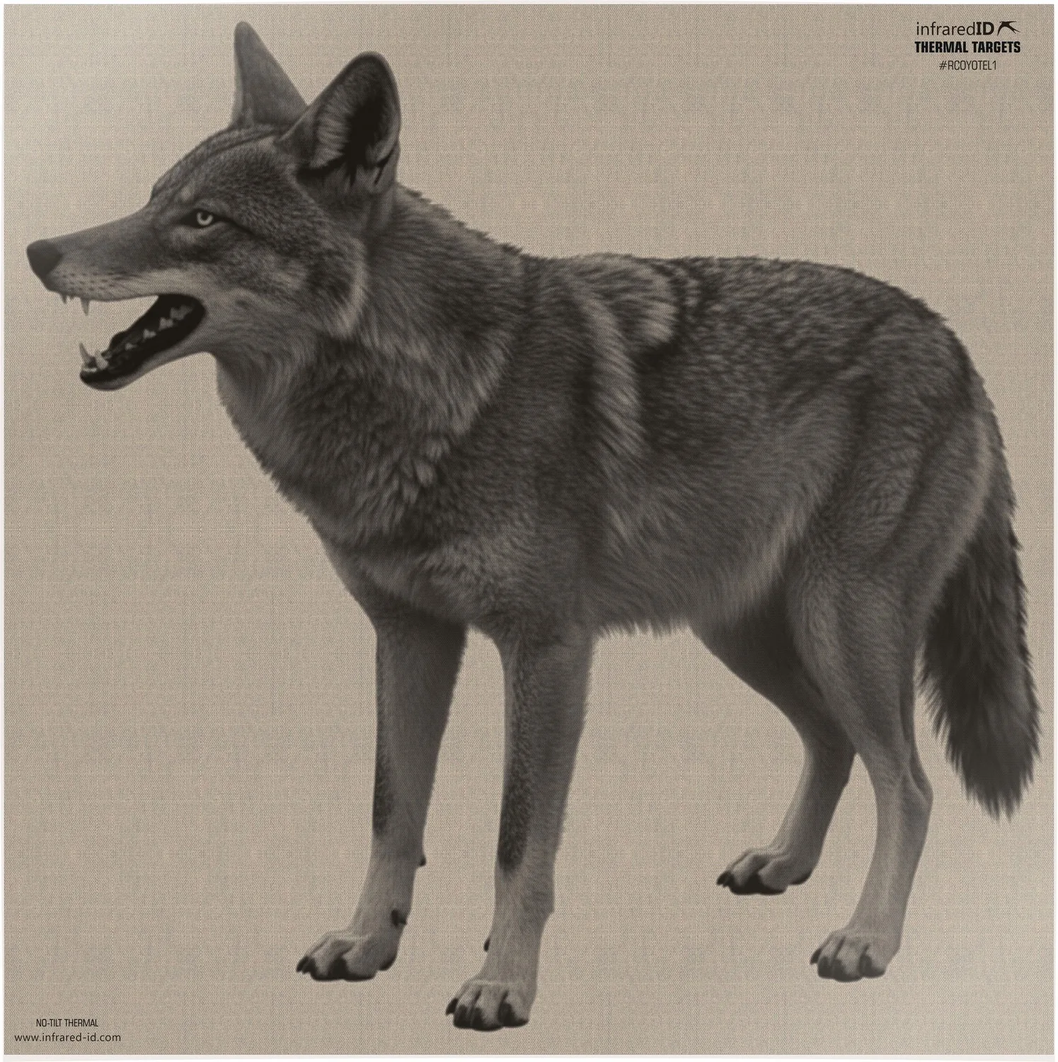 INFRARED-ID RCOYOTEL1   THERM COY TARGT