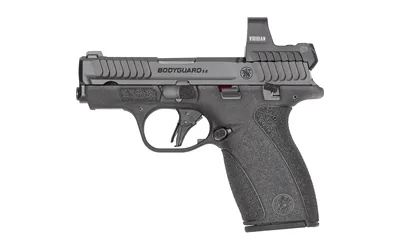 S&W BDYGRD 2.0 RFX1 380ACP 12RD TS