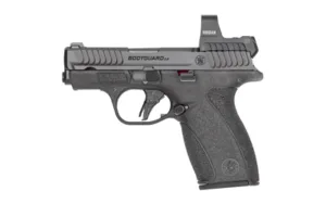 S&W BDYGRD 2.0 RFX1 380ACP 12RD NTS