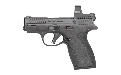 S&W BDYGRD 2.0 RFX1 380ACP 12RD NTS