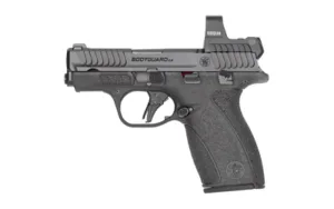 S&W BDYGRD 2.0 RFX1 380ACP 10RD TS