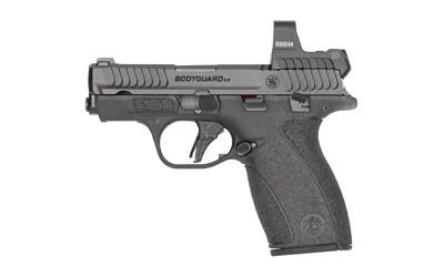 S&W BDYGRD 2.0 RFX1 380ACP 10RD TS