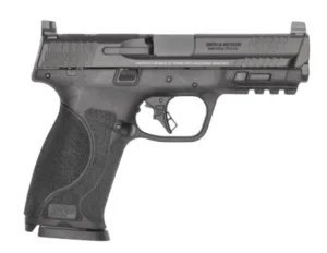 M&P9 M2.0 9mm 4.22" OR NTS Blk 2/15-rd