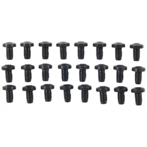 24 PACK H/H BLUE SCREWS