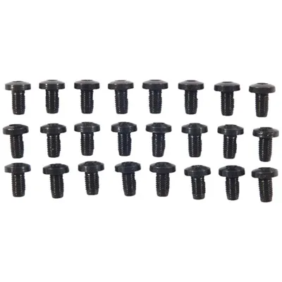 24 PACK H/H BLUE SCREWS